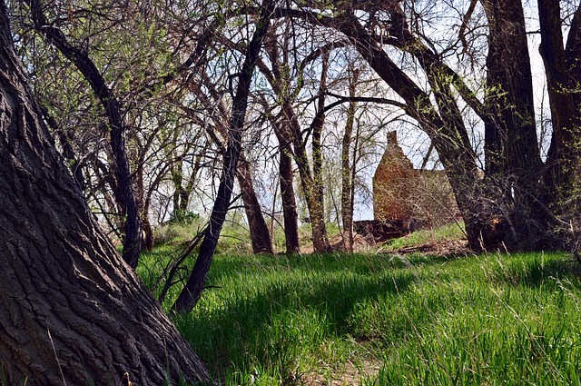 Restoring Fort Collins CO After Floods: Expert Mitigation Guide