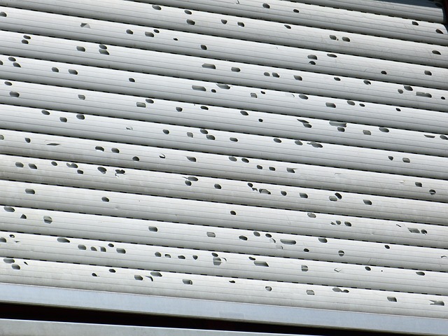 Water Damage Mitigation Companies Fort Collins CO