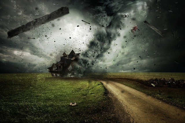 Water Damage Mitigation Companies McKinney TX