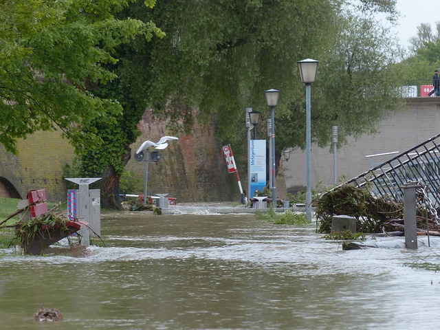 Water Damage Restoration: McKinney TX Experts Guide Property Repair