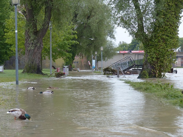Water Damage Mitigation Companies Pomona CA
