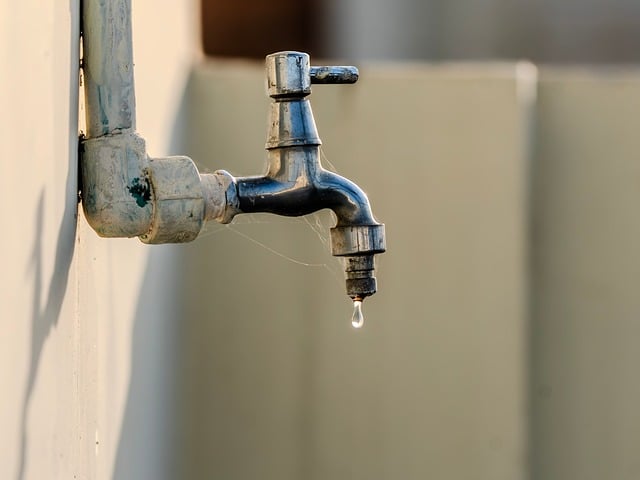 Water Damage Repair Fort Collins CO