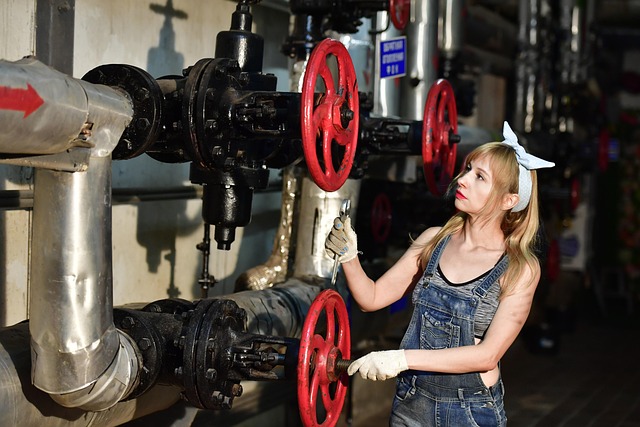 Water Damage Repair Fort Collins CO