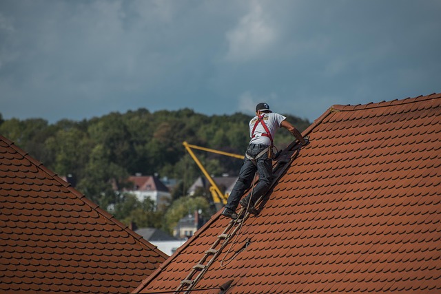 Water Damage Repair Norfolk VA