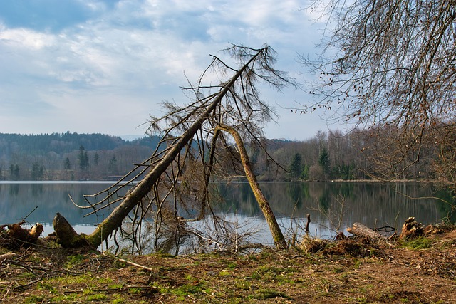 Water Damage Restoration Companies Fort Collins CO