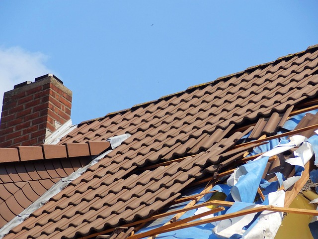 Water Damage Restoration Norfolk VA
