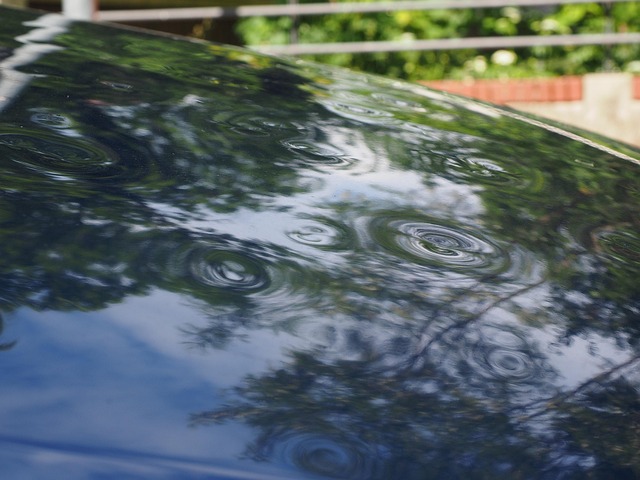 Water Damage Specialist Pomona CA