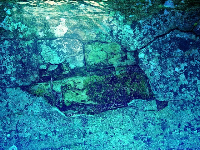 Water Leaks in McKinney Walls: Expert Tips & Repair Guide