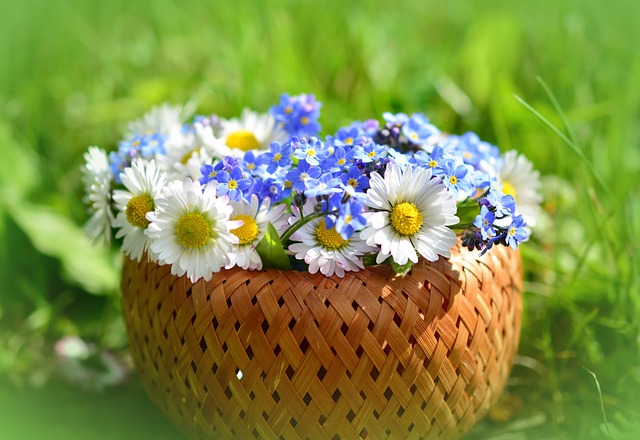 Wedding Portable Bathrooms Near Me