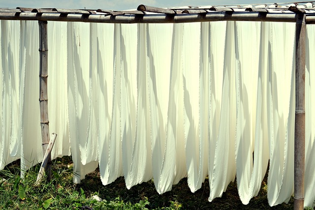 Quick Wet Carpet Drying Norfolk VA: Expert Restoration Tips