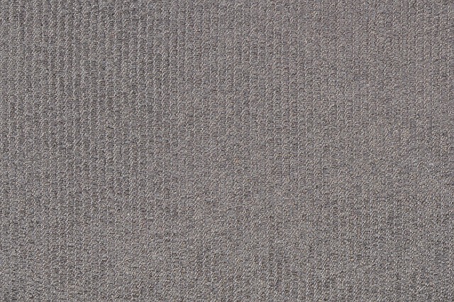 Wet Carpet Drying Norfolk VA