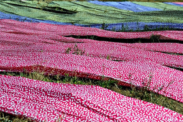 Wet Carpet Drying Norfolk VA
