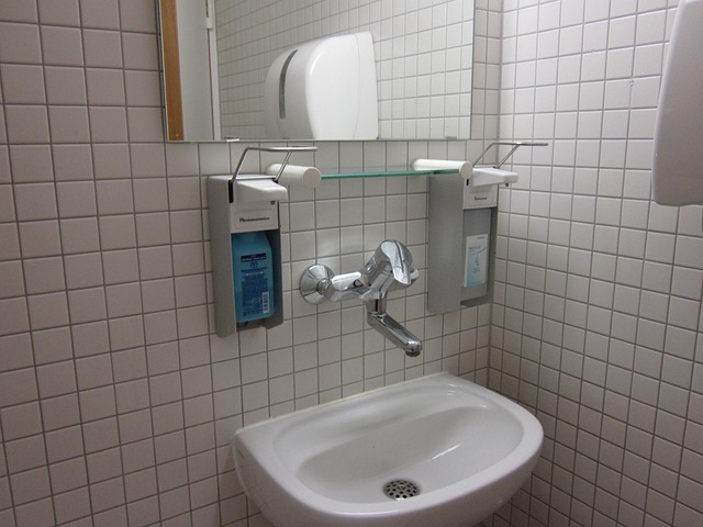 Bathroom Rental