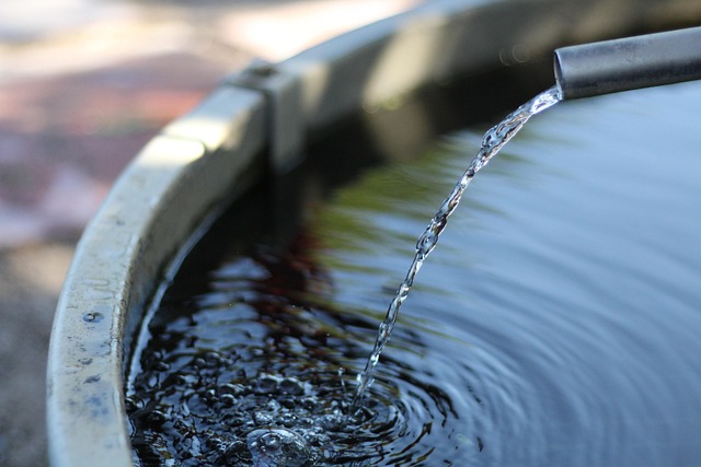 Burst Pipe Water Damage McKinney TX