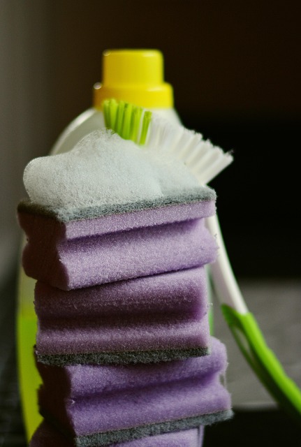 Cleaning Mold And Mildew McKinney TX