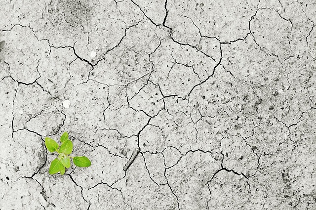 Commercial Water Damage Norfolk VA