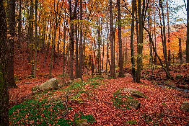easy-to-transport potties for hiking