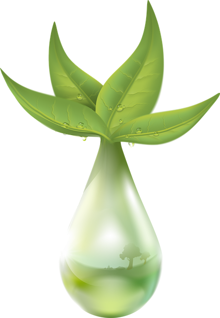 emergency-water-extraction-fort-collins-640x480-49224976.png