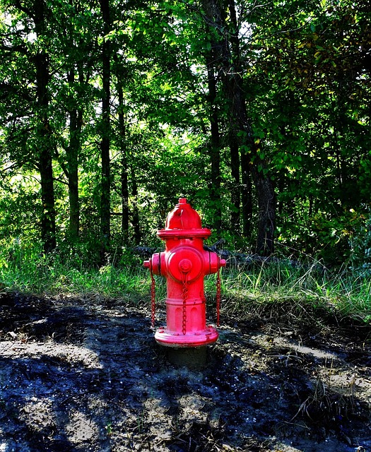 Emergency Water Extraction Norfolk VA