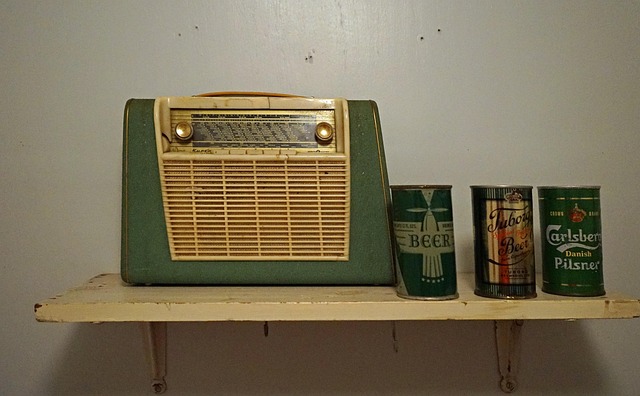 Green and silent portables potties for music festivals