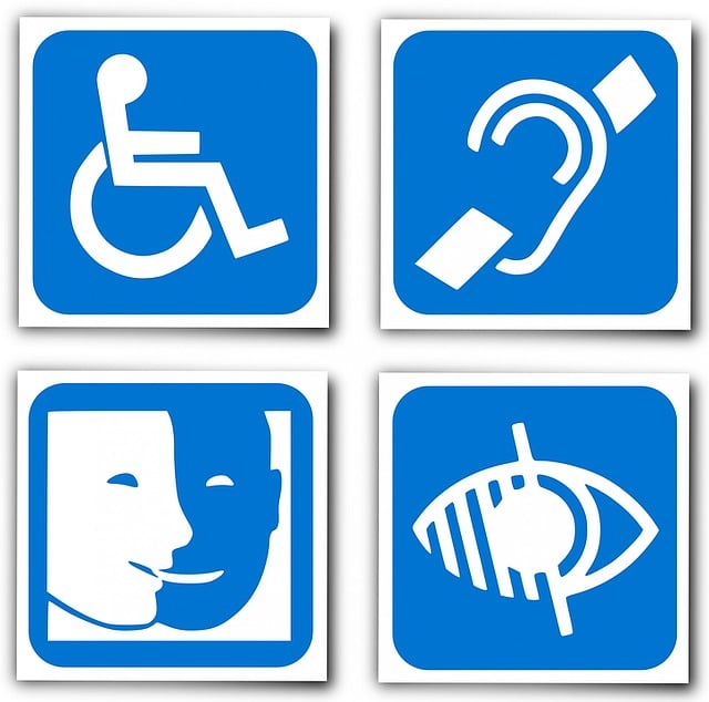 Handicap Portable Toilet