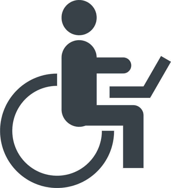 Handicap Portable Toilet