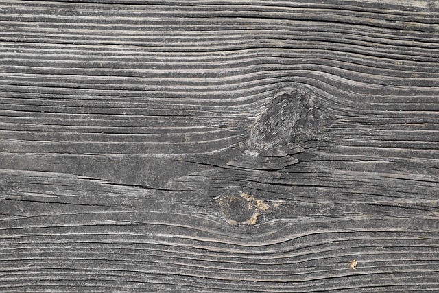 Hardwood Floor Drying Fort Collins CO