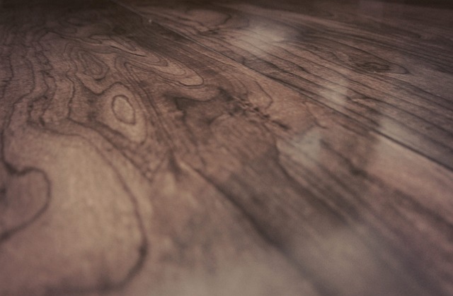 Hardwood Floor Drying Fort Collins CO