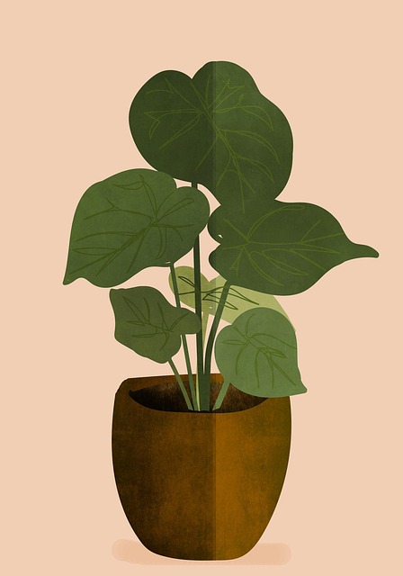Port A Pot Rental