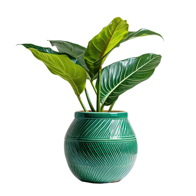 Port A Pot Rental