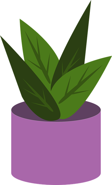 port-a-pot-rental-640x480-42887248.png