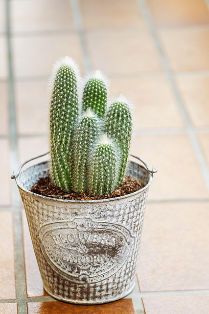 Port A Pot Rental