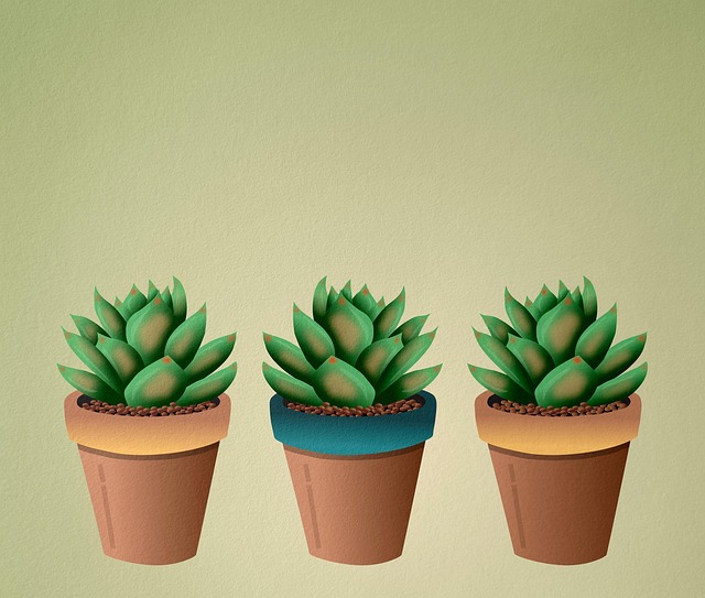 Port A Pot Rental