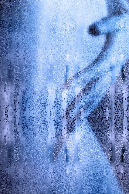 porta-potties-with-showers-640x480-3903617.jpeg