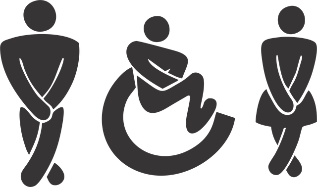 Portable Bathroom Rental Cost