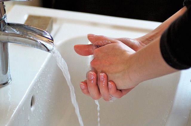 Portable Hand Washing Station Rental