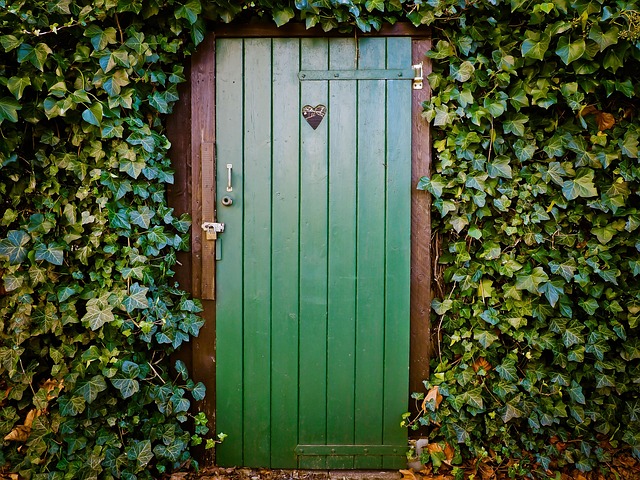 Rent Portable Toilets Near Me