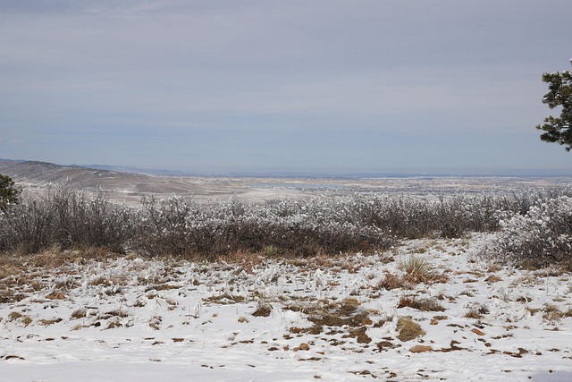 Standing Water Removal Fort Collins CO