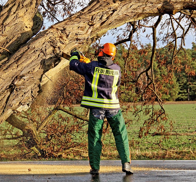 storm-damage-repair-mckinney-tx-640x480-77641557.jpeg
