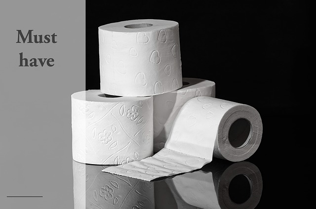 Temporary Toilet Rental